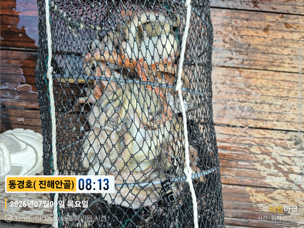 2026-07-09 08.13.39__(제목-동경호( 진해안골)).jpg