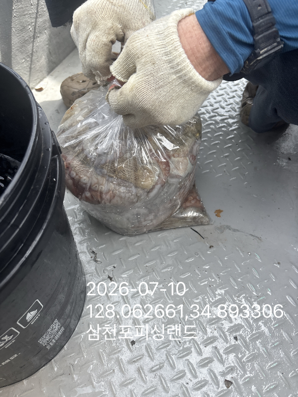 IMG_5615.jpeg