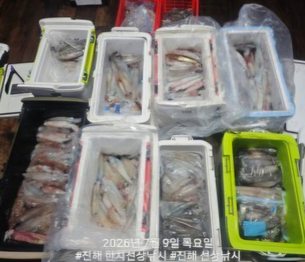 신아라호 한치 칼치 오징어_사진_20260709_3.jpg