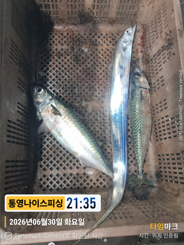 2026-06-30 21.35.14__(제목-통영나이스피싱).jpg