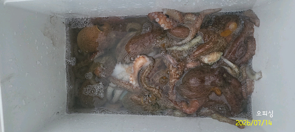 DateCamera0714145533.jpg