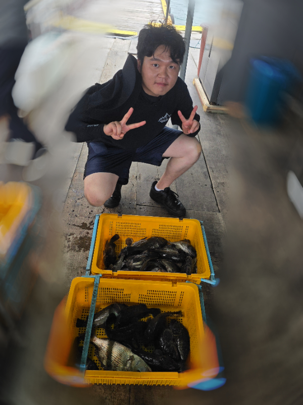 72431.jpg