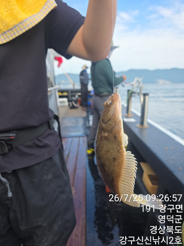 신신낚시 강구점 신신호_사진_20260725_14.jpg