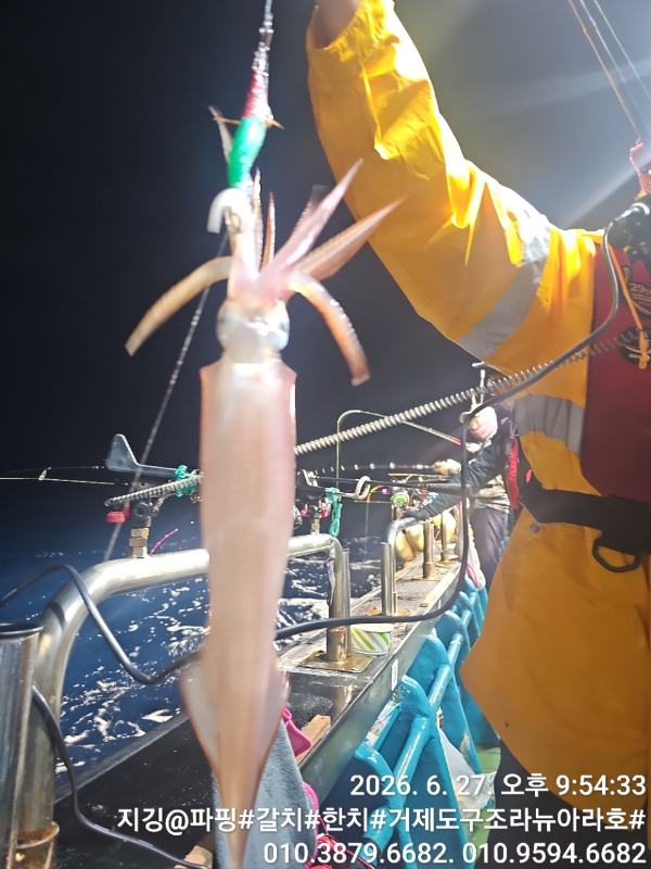 거제도 구조라  뉴아라호 (지깅, 파핑,한치,갈치,타이바라 전문)_사진_20260629_3.jpg