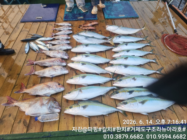 거제도 구조라  뉴아라호 (지깅, 파핑,한치,갈치,타이바라 전문)_사진_20260615_15.jpg