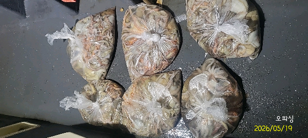 DateCamera0519223025.jpg