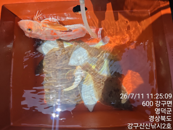 신신낚시 강구점 신신호_사진_20260711_10.jpg