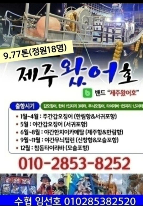 제주왔어호_사진_20260728_50.jpg