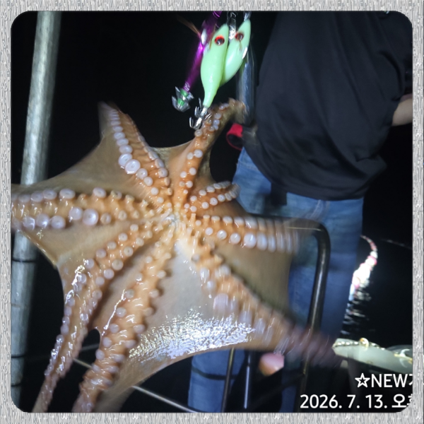 BandPhoto_2026_07_14_17_01_18_4.png