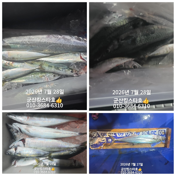 PhotoCollage_1785250592307.jpg