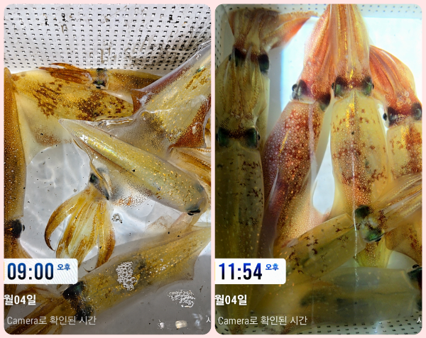 KakaoTalk_20260705_060505659_03-tile.png