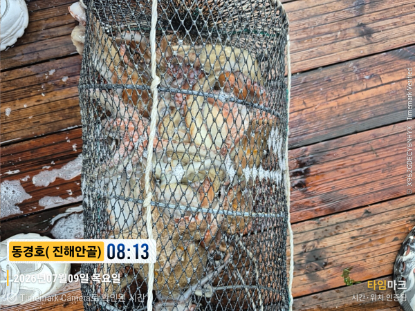 2026-07-09 08.13.10__(제목-동경호( 진해안골)).jpg