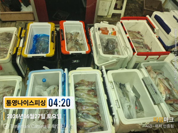 2026-06-27 04.20.45__(제목-통영나이스피싱).jpg