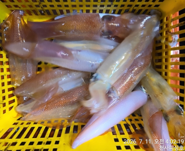 1004피싱_사진_20260711_17.jpg