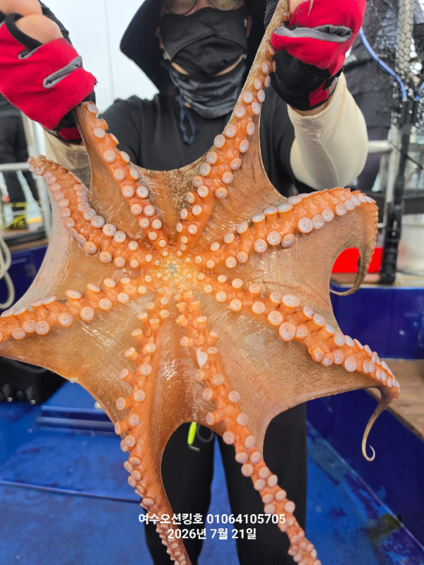 44366.jpg
