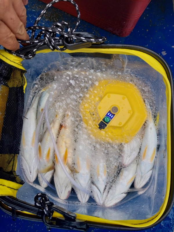 KakaoTalk_20260706_091909718_09.jpg