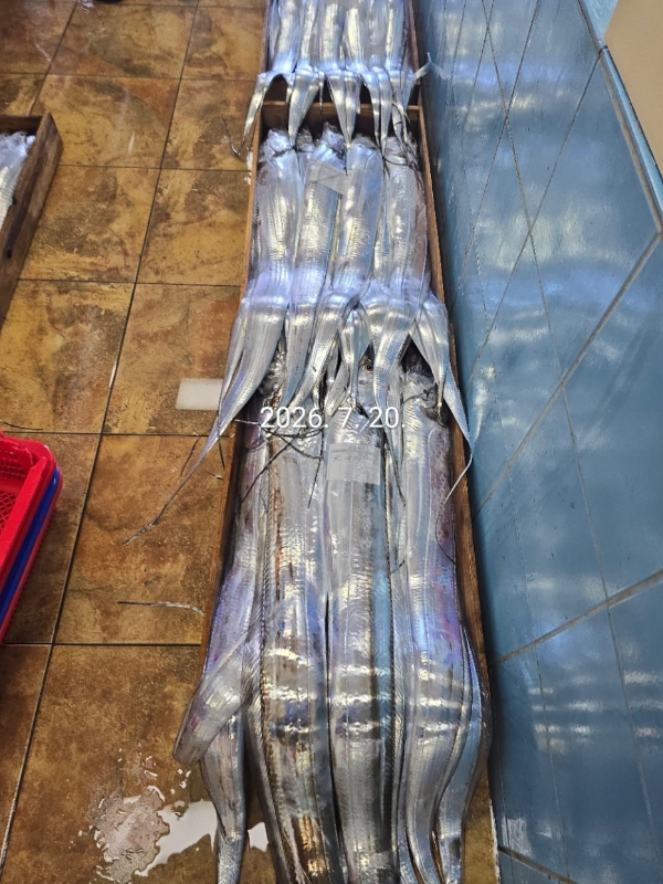 109D237E-FA09-45AF-A0BB-7F10DF6768DC.jpeg