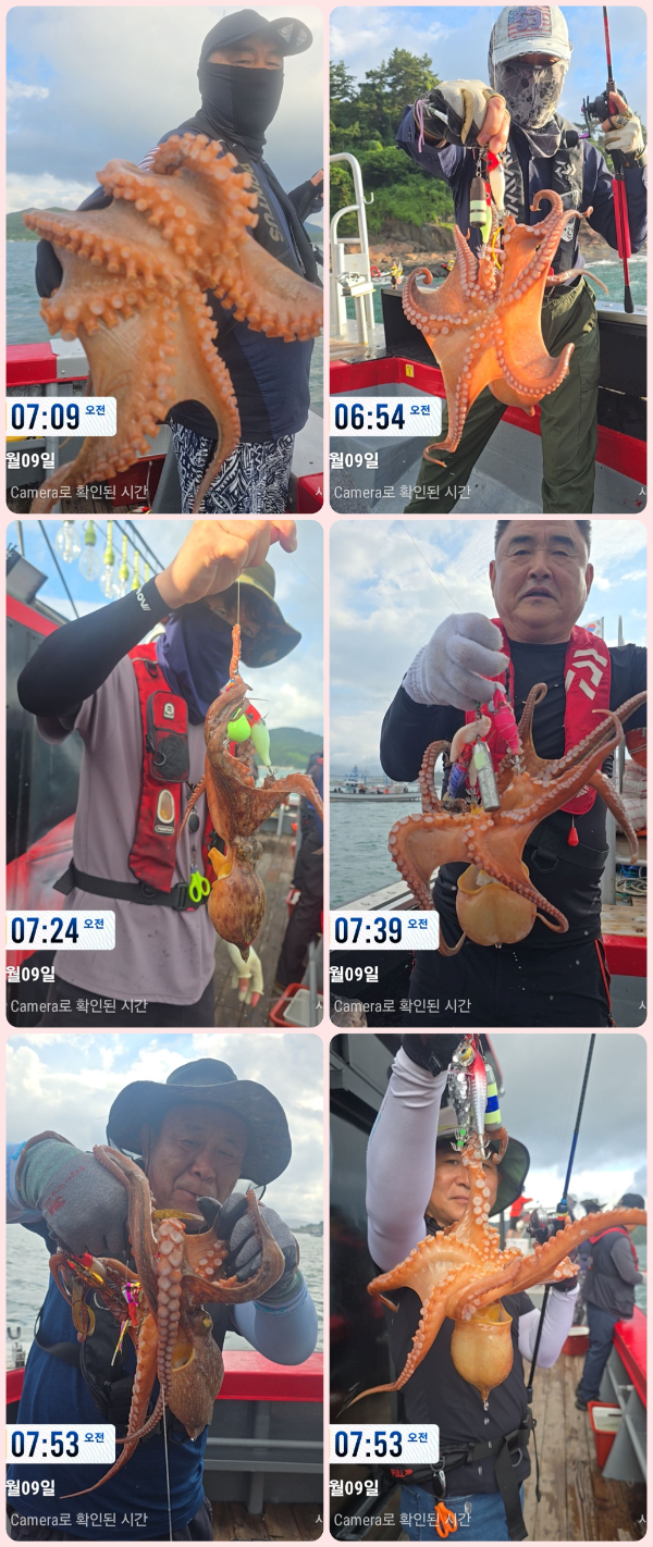 KakaoTalk_20260710_074127332_01-tile.jpg