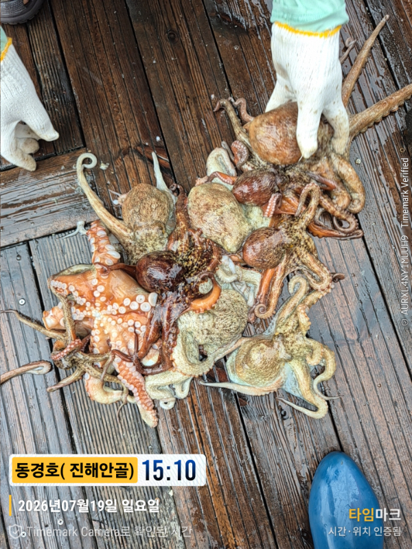 2026-07-19 15.10.08__(제목-동경호( 진해안골)).jpg