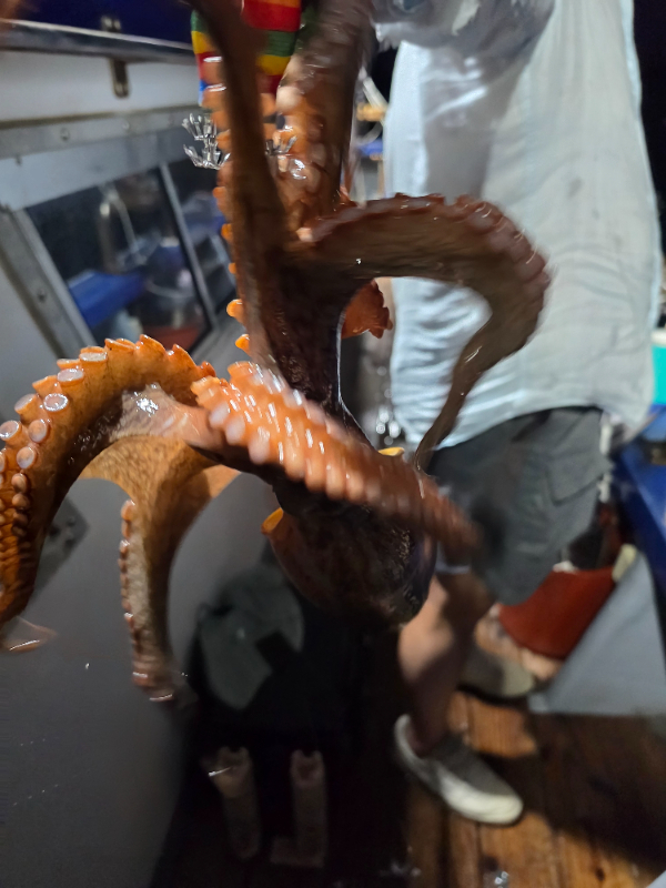 20260730_201538.jpg