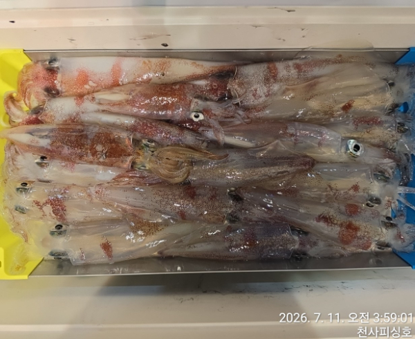 1004피싱_사진_20260711_20.jpg
