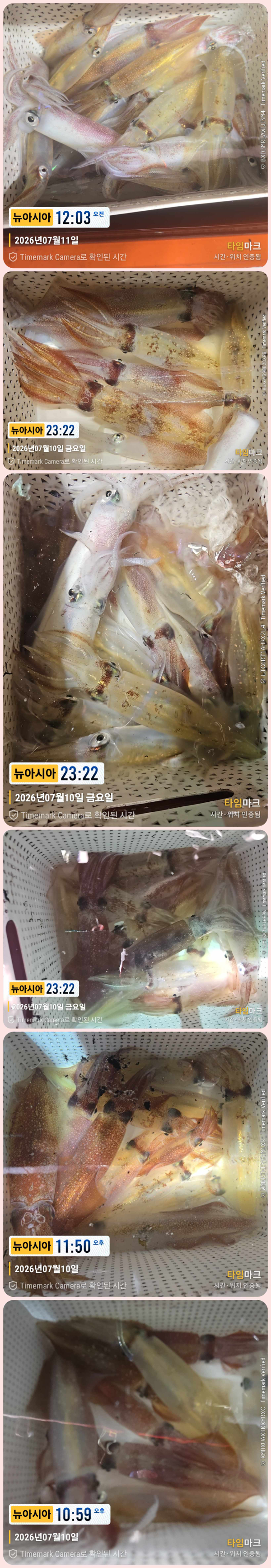 KakaoTalk_20260711_042646131_19-down.jpg