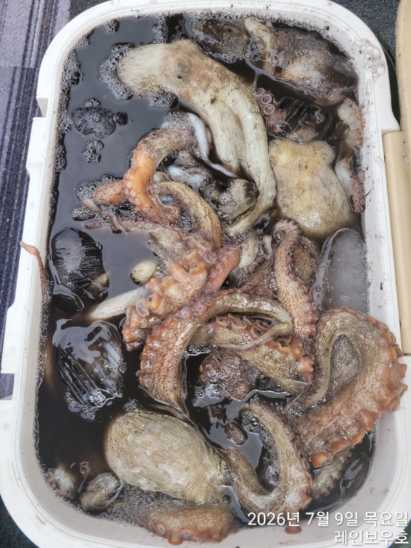 ♡여수레인보우♡갈치_열기_한치_갑오징어__사진_20260709_46.jpg