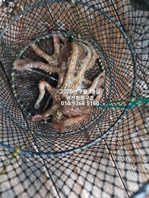 KakaoTalk_20260721_092917966_03.jpg