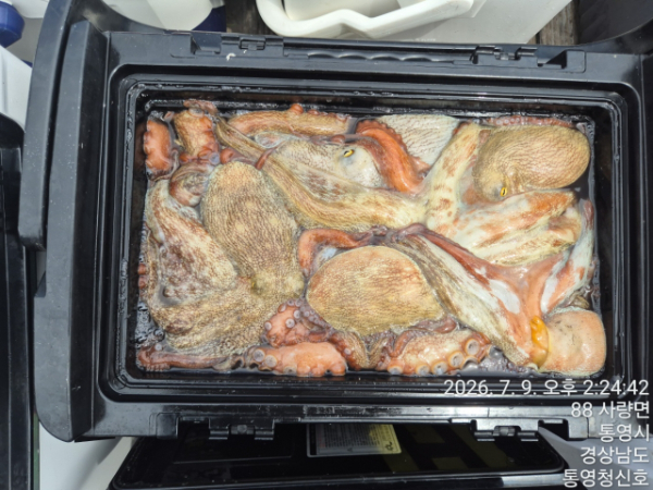 통영청신호입니다_사진_20260709_23.jpg