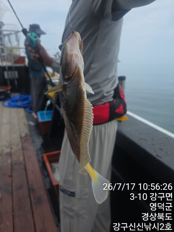 신신낚시 강구점 신신호_사진_20260717_10.jpg
