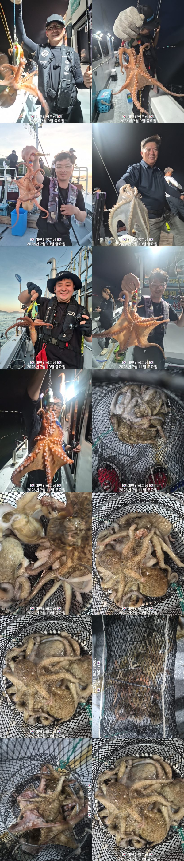 문어1.jpg