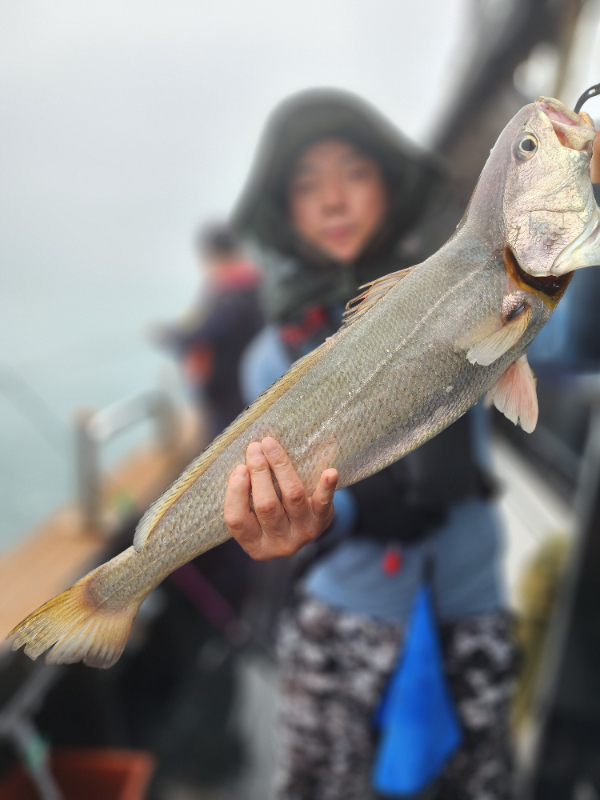 1784281654921.jpg