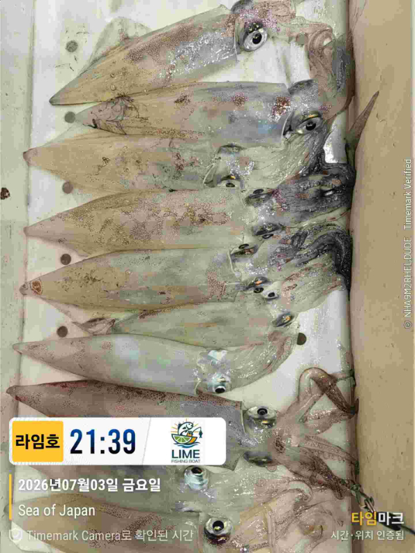KakaoTalk_20260704_073411723_13.jpg