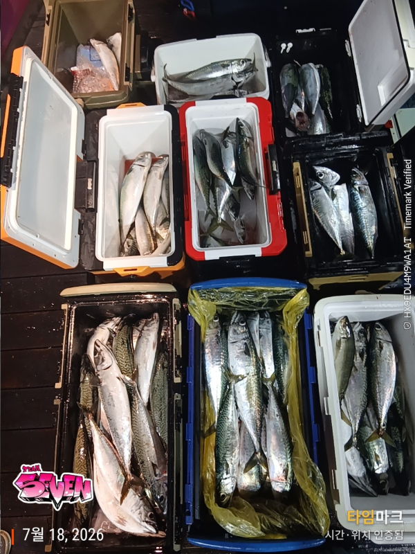 나만의밴드♥_사진_20260718_3.jpeg
