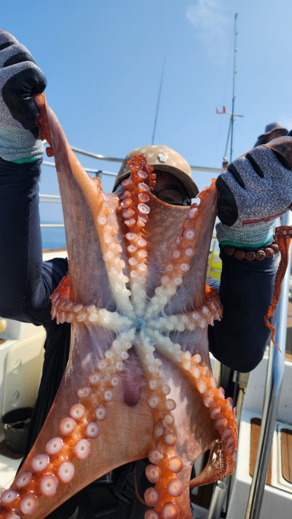 210874E3-FC56-4031-8C02-21003D8B7136.jpeg