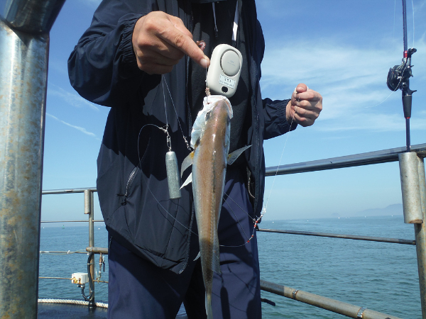 DSCF4500.jpg