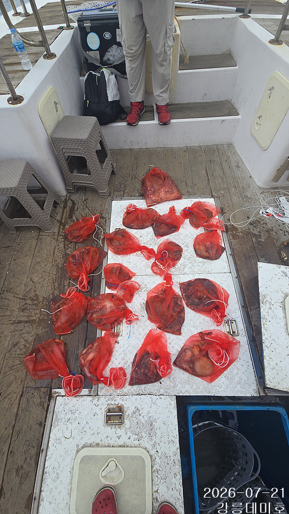 f0009.jpg