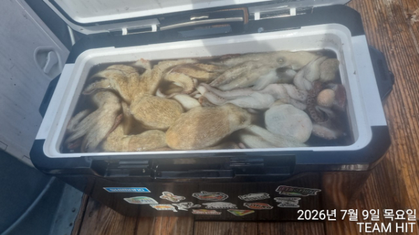 1000042893.jpg