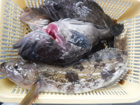일괄편집_DSCF7088.jpg