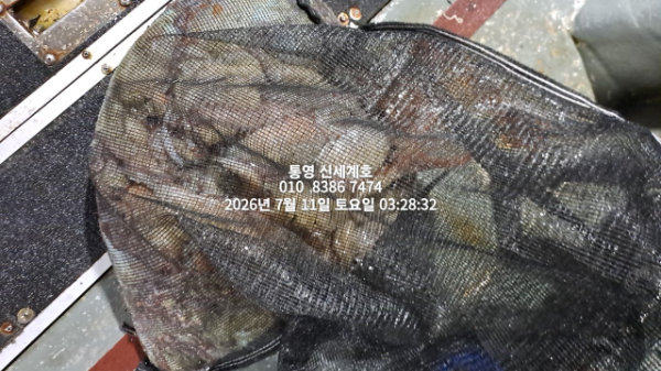 1783717415666.jpg