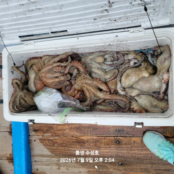 KakaoTalk_20260709_172141057_21.jpg
