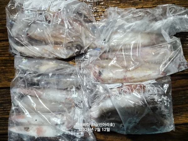 신아라호 한치 칼치 오징어_사진_20260712_14.jpg