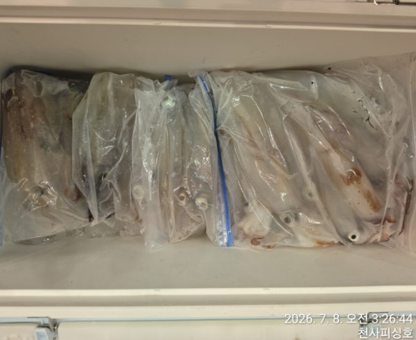 1004피싱_사진_20260708_3.jpg
