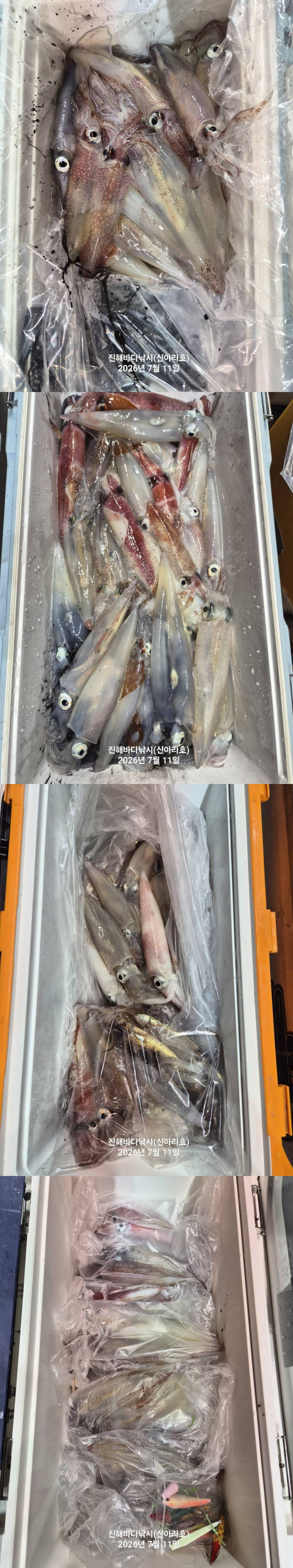 이어3.jpg