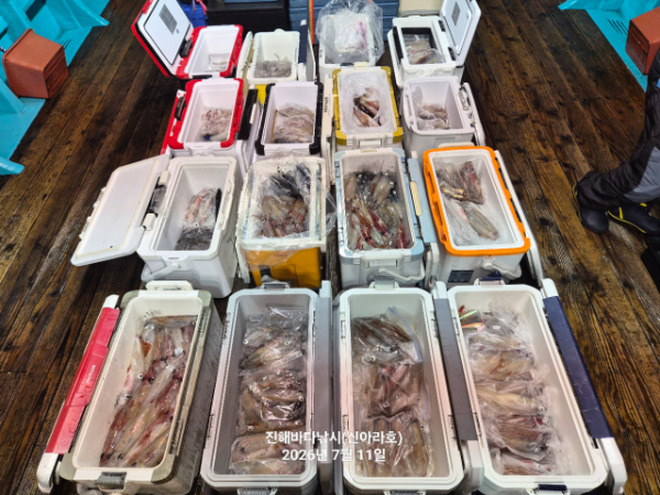 신아라호 한치 칼치 오징어_사진_20260711_2.jpg