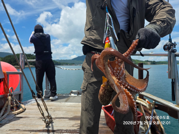 93ef22ad-8d27-41d0-b318-53414b3145eb-1_all_2507.jpg