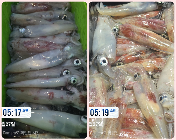 KakaoTalk_20260727_085119965_09-tile.jpg