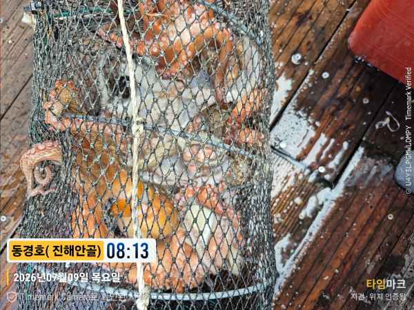 2026-07-09 08.13.56__(제목-동경호( 진해안골)).jpg