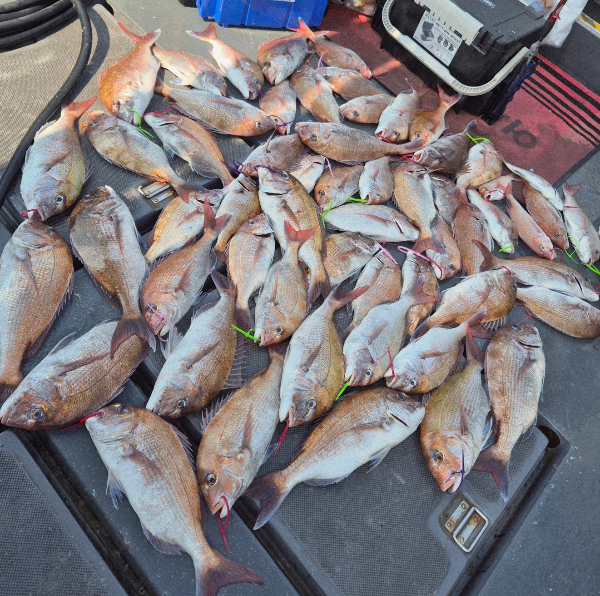 KakaoTalk_Image_2026-07-01-10-55-03_003.jpeg