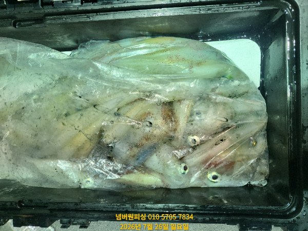 KakaoTalk_20260726_053746294_10.jpg